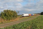 223 143 mit dem Wiesau Containerzug bei Oberteich 10.10.16