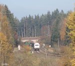 223 143 zieht den Wiesau Containerzug bei Oberteich.