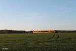 1648 706 als OPB 79742 Schwandorf - Marktredwitz bei Oberteich im letzten Licht.