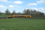 Ein 1648iger der Oberpfalzbahn als OPB 79741 Marktredwitz - Regensburg bei Röthenbach am Steinwald kurz vor Reuth bei Erbendorf.