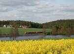 Zwei unbekannte 1648iger der OPB am Rechenweiher in Richtung Sden 13.05.22