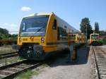 ODEG-Triebwagen VT650.64 und VT650.67 am 12.Juni 2011 in der Einsatzstelle Berlin Lichtenberg.