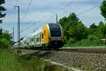 3462 123 und ein weiterer Desiro HC sind am 31.05.23 auf dem Weg in Richtung Frankfurt (Oder).