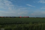 270082 mit dem Wiesau Containerzug kurz vor seinem Ziel bei Oberteich.