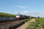 185 103 mit einem Containerzug zwischen Erbach(Rheingau) und Hattenheim.