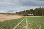 76 111 zieht bei Unterthartmannsreuth an der Bayrisch/Sächsichen Landesgrenze kurz vor Feilitzsch den Könitzer Schrottzug nach Cheb.