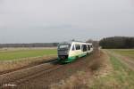 VT11 als VBG81125 Hof - Regensburg bei Oberteich.