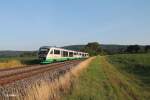 VT19 + VT11 als VBG81107 Marktredwitz - Regensburg bei Oberteich.