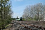 VT11 zieht bei Schönfeld als OPB79716 Regensburg - Marktredwitz vorbei.