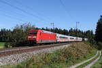 101 030 mit dem  IC K�nigssee  aus Freilassing kommend am 20.