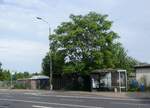 (264'543) - LVB-Haltestelle am 10.