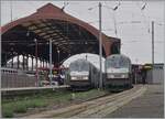 Die beiden SNCF GRAND EST BB 26161R und 26167R warten in Strasbourg mit ihre TER nach Paris Est (!) und Basel SBB auf die Abfahrt.