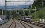 Die SNCF BB 22391 'Nez cass�' f�hrt mit ihrem TER 96634 durch den Bahnhof von La Plaine und erreicht in K�rze Frankreich. Noch stehen die alten Gleichstromfahrleitungsmasten, die mit SBB Fahrleitungsutensilien nachger�stet nun mit SNCF Wechselstrom von 25000 Volt 50 Hertz die Strecke versorgen. Doch wie ganz links im Bild angedeutet, stehen dem Bahnhof gr�ssere Umbauarbeiten bevor, so dass sich der Bahnhof wohl demn�chst in einem anderen Gesicht zeigen wird.  Der TER ist auf der Fahrt von Gen�ve (ab 9:57) nach Valence (an 13:13). 1. Juni 2026 