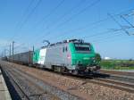 Die BB 37036 in Erstein am 10/06/10.