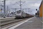 Die akiem BB 37 028 (an der Spitze) und die akiem BB 27169 (am Schluss) befördern einen sehr langen Güterzug mit volle Mineralwasser durch den Bahnhof von Annemasse. 10. März 2023