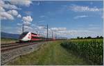 Der TGV Lyria 9261, geführt vom Triebzug N° 4721, hat kurz vor Arnex sein Ziel Lausanne schon fast erreicht.