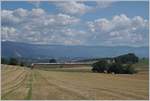 Der TGV Lyria 9261 von Paris Gare de Lyon nach Lausanne oberhalb von Arnex auf der Fahrt durch die hügligen Jurasüdfuss Landschaft.