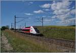 Der TGV Lyria 9261 von Paris Gare de Lyon nach Lausanne oberhalb von Arnex auf der Fahrt durch die hügligen Jurasüdfuss Landschaft.