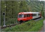 Etwas überraschend und ungewöhnlich:  Alpen-Métro (Martigny) - Vallorcine - Chamonix - St-Gervais ist neuerdings mit  Schweizer -Signalen ausgestattet, dies obwohl sie von der SNCF  