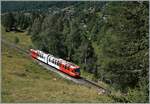 Der TMR BDeh 4/8 21 ist als SNCF TER von St-Gervais nach Vallorcine unterwegs befindet sich auf halbem Weg zwischen Le Buet und Vallorcine.