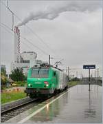 Die SNCF BB 37053 auf dem Weg nach Basel Rangierbahnhof (Muttenz) bei der Durchfahrt in Basel St.Johann.
22. Juni 2007