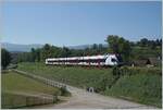 Die Léman-Express Strecke ASL6 (Genève) - La Plaine / z.T.