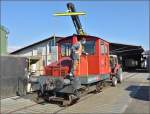 Spitzmaus auf Reisen.