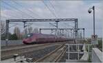 Der .italo ntv ETR 575 014 verlässt als Zug 9935 (Milano - Napoli) den Bahnhof von Reggio Emilia AV.