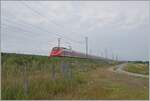 Bei bei Livorno Ferraris suast der FS Trenialia ETR 500 050 vorbei, der als Frecciarossa 9300 auf der Fahrt nach Napoli ist. Dieser Zug zeigt sich in der neuen Frecciarossa Farbgebung. 

15. Juni 2024 