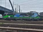 ELL/WLC 193 213  von Wien berall hin  abgestellt in Hamburg-Altenwerder am Hafenbahnhof Alte Sderelbe am 01.05.2019