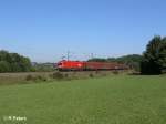 1116 100-7 zieht bei Edlhausen ein Gedeckten Gterzug in Richtung regensburg.