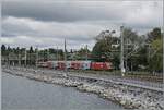 Eine ÖBB 1116 verlässt mir ihrem Doppelstock-Regionalzug Lindau Insel in Richtung Bregenz. 

17. Sept 2024