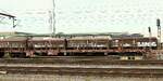 A-RCW 31 81 3991 395-4 Gattung Rns-z1 Pattburg/DK 24.04.2026