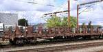 A-RCW 31 81 3901 492-8 Gattung Rs Pattburg/DK 15.05.2026