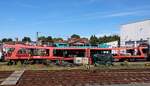 A-BTEX 51 81 98-70 002-4 Gattung DDm915.2. Nieb�ll neg 28.06.2026