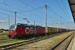 BB 1293 045, ist mit einem Containerzug in Verona Porta Nouvo angekommen.