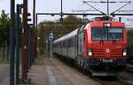 Einfahrt f�r den Sn�llt�get ST 306 mit der Zuglok 118 001 im Grenzbahnhof Pattburg/DK 15.05.2026
