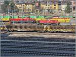 Blick vom Ausbildungszentrum er SBB auf den Rangierbahnhof von Renens VD mit einer Am 841 und Aem 940. 

29. Feb. 2024