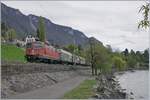 Die SBB Re 4/4 II 11295 fährt bei Villeneuve mit einem Güteruug Richtung Lausanne.