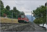 Die SBB Re 420 244-6 und 294-1 bei Villeneuve.