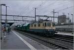 Die IRSI  Rheingold  Re 4/4 II 11387 (Re 421 387) erreicht mit ihrem Kieszug von Gland kommend Morges, wo der Zug in der Folge auf Rollböcke verladen wird, um nach Apples zu kommen. 

22. Feb. 2024
