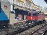 Eine  Personenverkehrs  SBB Re 4/4 II in Lausanne ist nicht alltäglich, so dass ich die SBB Re 4/4 II 11193 (UIC  91 85 4420 193-5 CH-SBB) hier genre fotografiere, doch das interessante ist das SNCF Zeichen am linken Bildrand...
29. Okt. 2025

