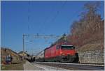 Die SBB Re 460 093-8 ist mit einem IC Richtung Bern zwischen Bossiéres und Grandvaux unterwegs.