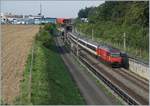 Die NBS (Schnellfahrtstrecke Mattstetten - Rothrist)  bei Langental mit von Re 460 geführen schnell durchfahrenden Zügen.