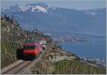 Umleitungsverkehr via die  Train de Vignes -Strecke und Palézieux statt dem See entlang. Die ist für die Reisenden mit einem Zeitverlust verbunden, beschert aber herrliche Ausblicke 

Eine SBB Re 460 ist oberhalb von St-Saphorin mit einem IR 90 auf dem Weg in Richtung Vevey.

20. März 2022