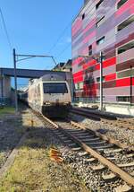 Die SBB Re 460 019-3  175 Jahre Schweizer Bahnen   erreicht mit einem IR 90 nach Genève Aéroport den Bahnhof von Montreux. 
27 Juli 2024