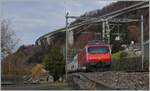 Den Doppelstockzug auf dem Weg von Brig nach Genève Aéroport schiebt eine SBB Re 460. 
Das Bild entstand bei Villeneuve. 

3. Jan. 2022