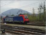 SBB Re 484 015 in Domodossola.