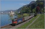 Die SBB Re 6/6 11665 Ziegelbrcke (Re 620 065-3) ist mit einem Gterzug beim Chteau de Chillon unterwegs.