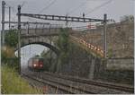 Die SBB Re 6/6 11634 (Re 620 034-9)  Aarbrug Oftringen mit einem Gterzug Richtung Villeneuve bei der Durchfahrt in Cully.